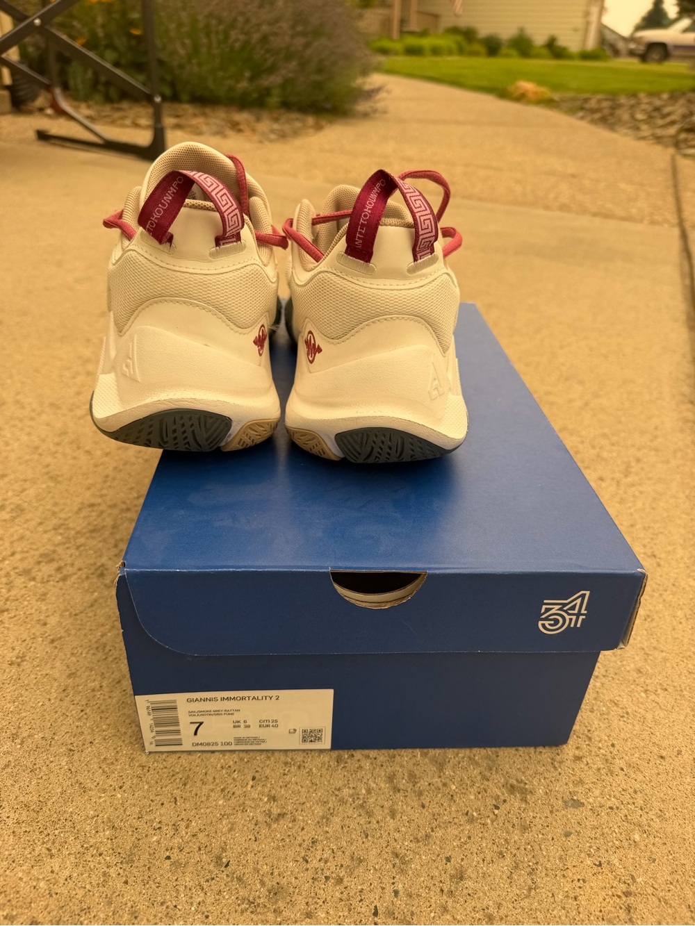 Nike Volleyball or Basketball Shoes - Picture 4 of 4